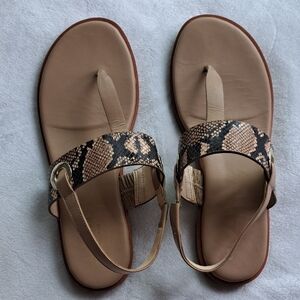 Cole Haan Grand Series Thong Sandal Snake Print Gold Detail Women’s Spring US 7B